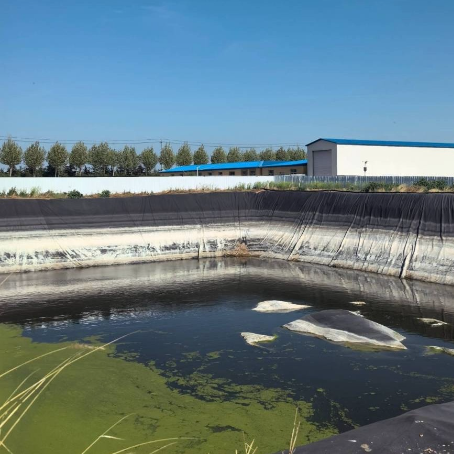 沼氣池 HDPE 土工膜：選型、壽命、價格、施工與檢驗全解析